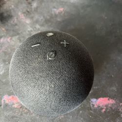 Amazon Echo Dot