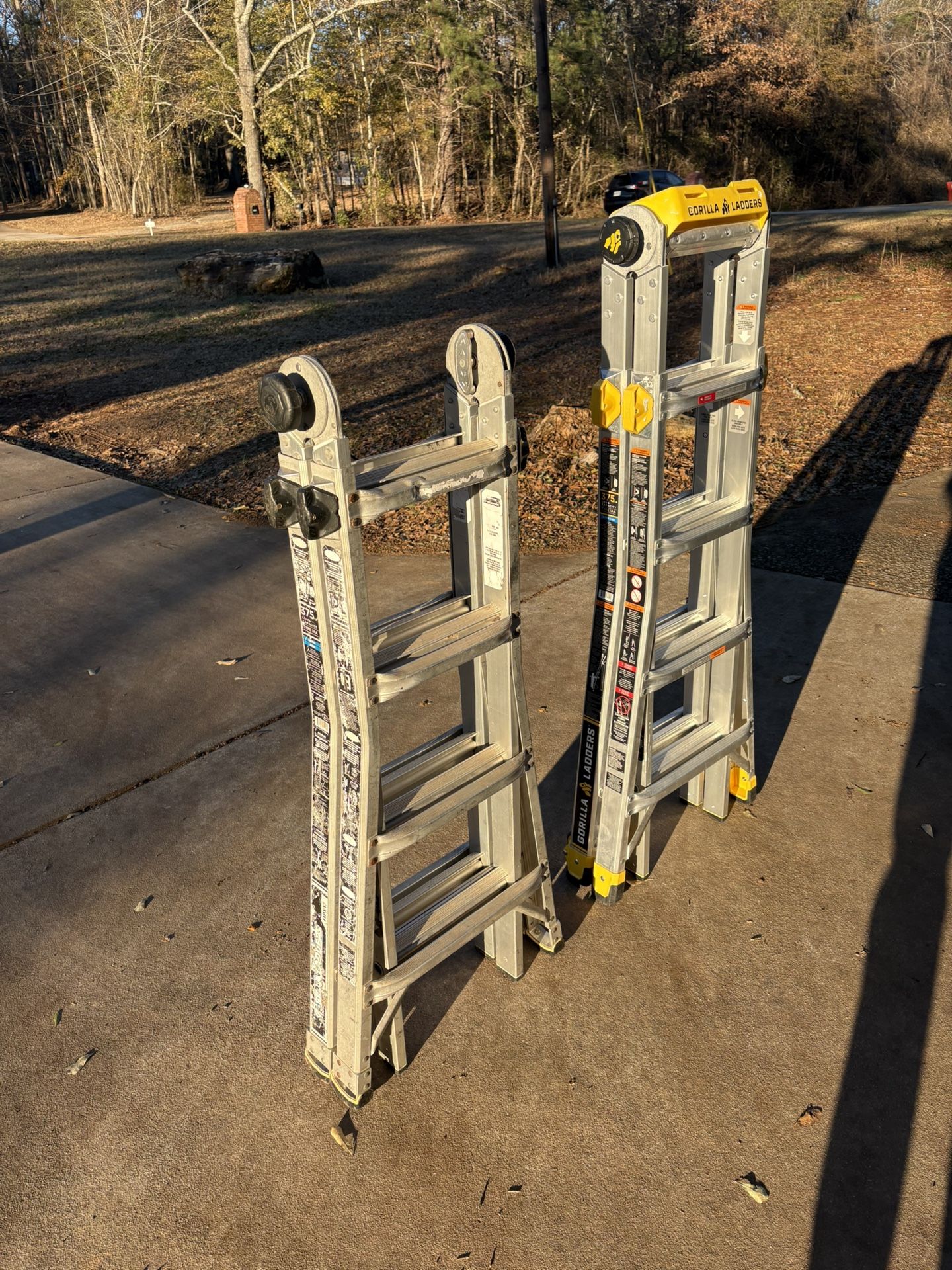 Two Ladders For Sale