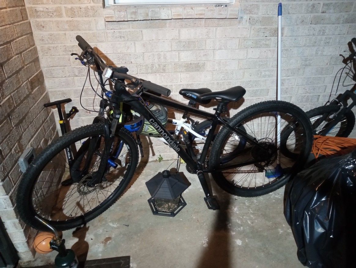 Cannondale Trail Eight, Dark Gray,