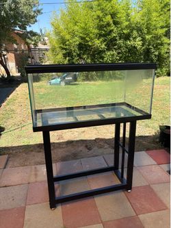 75 gallon tank & stand