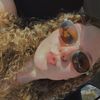 Chloe Shindle