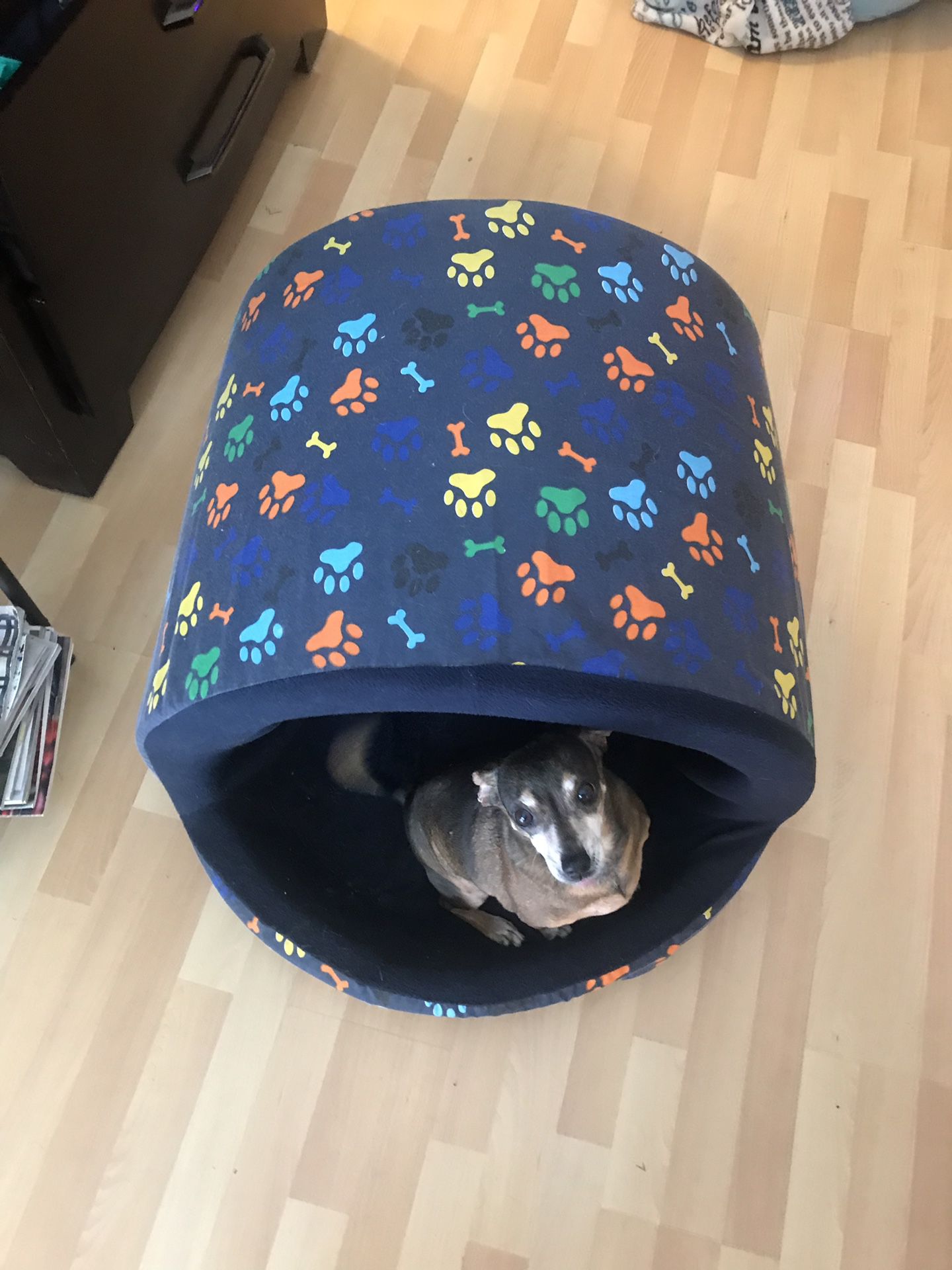 Dog bed house