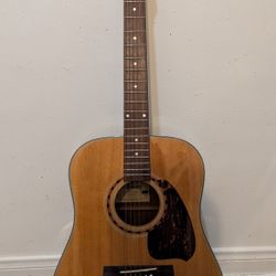Ibanez Pf5 Acoustic Guitar With Extras
