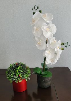 Plantas artificial decoración $10 por las 2