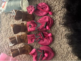 Cute doggy shoes