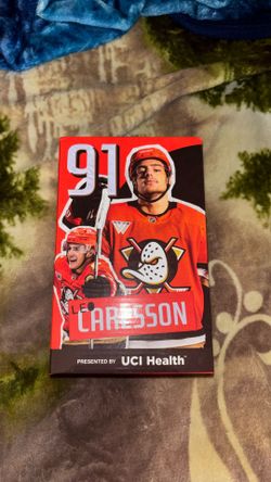 Anaheim ducks