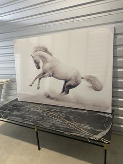 Large Horse Print 110x70in 