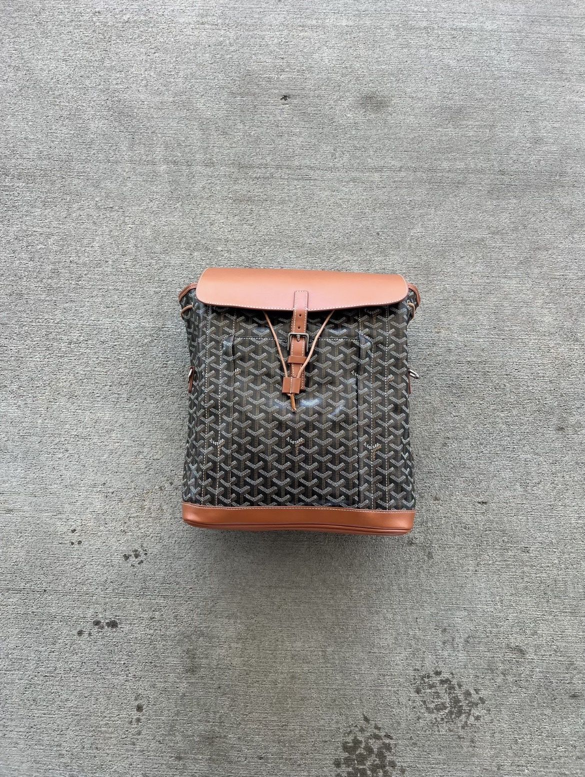 Goyard Alpine Backpack Black and Tan