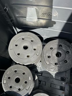 FitRx 75lbs 1 inch weight plates