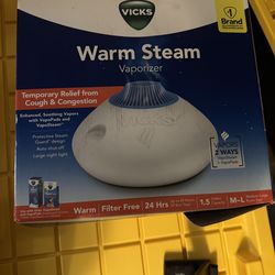 Vicks Vaporizer (warm steam)