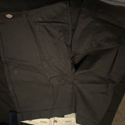 Dickies double knee black