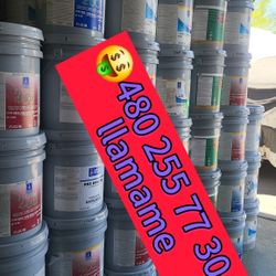 Paint For Sale 