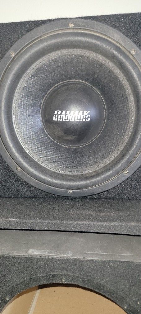12" Subwoofer