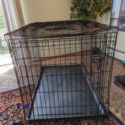 Dog Crate 