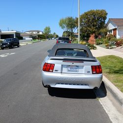 2000 Ford Mustang GT