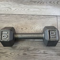 10 lb Dumbbell 