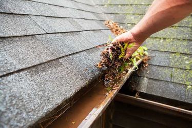 Clogged Gutters?