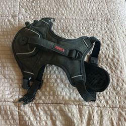 Dog Harness