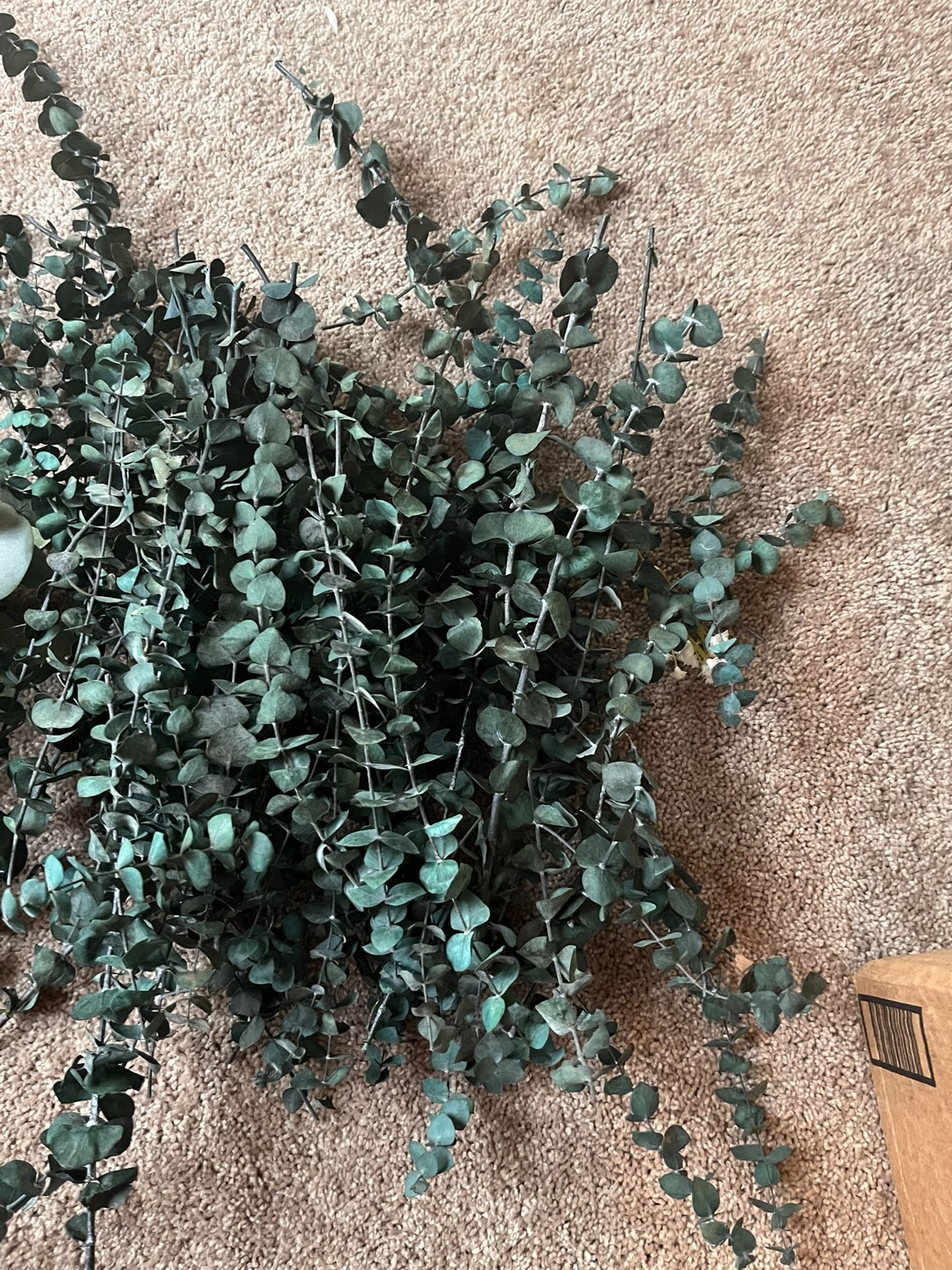 Faux Eucalyptus Stems