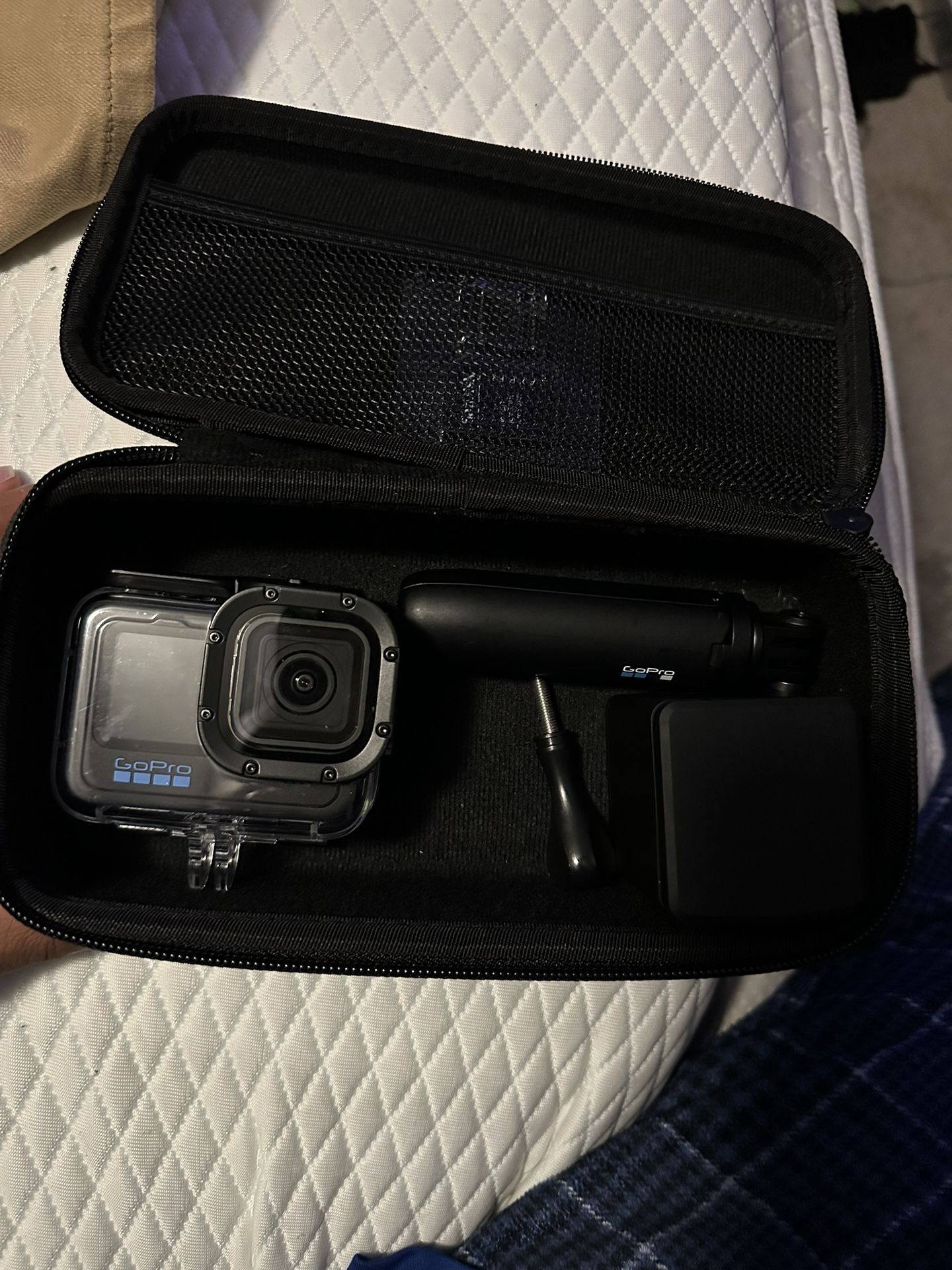 Go Pro 10 With Accessories 