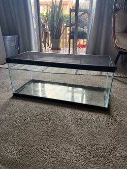 20 Gallon Reptile Tank