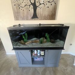 75 Gal Fish Tank With FX6 Filter