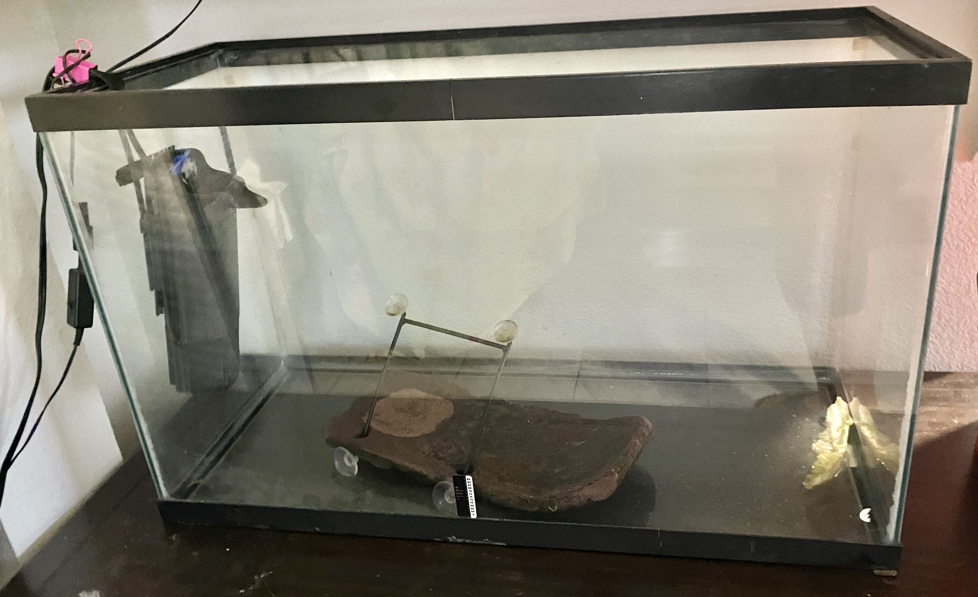 Fish Tank Aquarium
