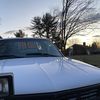 Looking For Beater Truck 