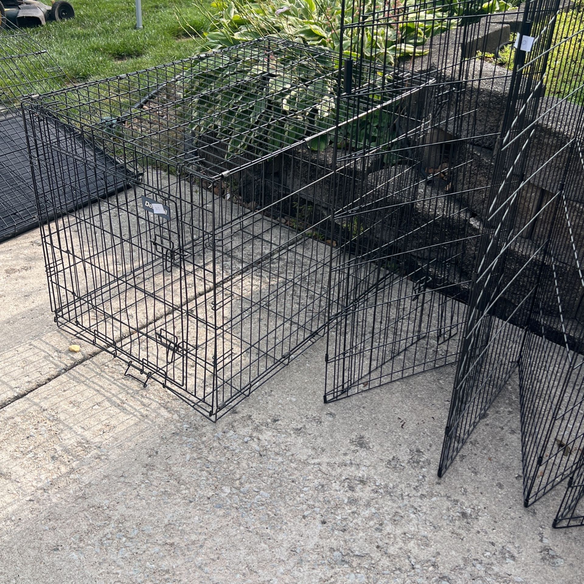 Dog Crates