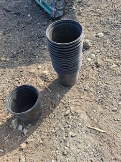 1 gallon pots up to 10,000