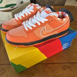 Nike SB (Orange Lobsters)🦞 DS/OG All 
