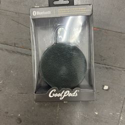 Speaker 