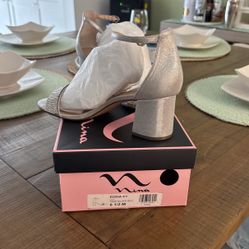 Silver Shoes