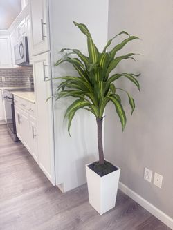 Artificial Plant