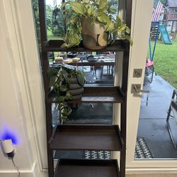Ladder Shelf