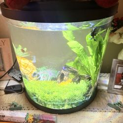 3.5 Gal Fish Tank