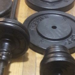 Sport  More Than 90 Lb