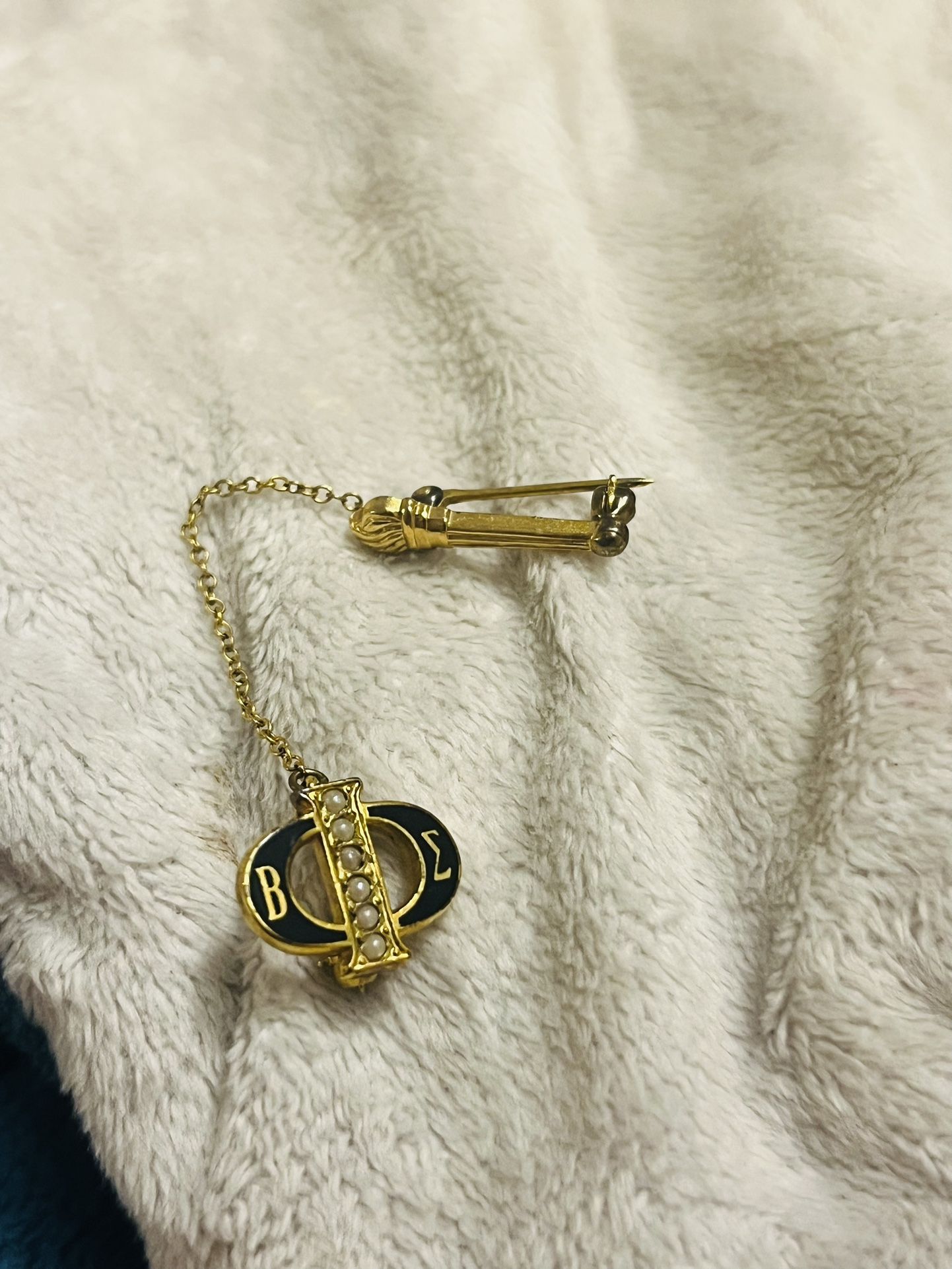 Vintage Beta Sigma Phi Lapel Pin 1978