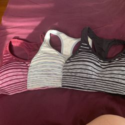 Champion Sport Bras