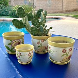 Garden Pots With Cactus