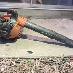 Echo Handle Blower