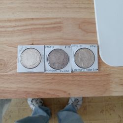 3 Morgan Dollars 300 Dollars Firm