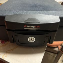 Sentry Safe Fireproof