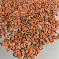 Carrot clay slices 