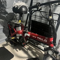 Electric Bike 