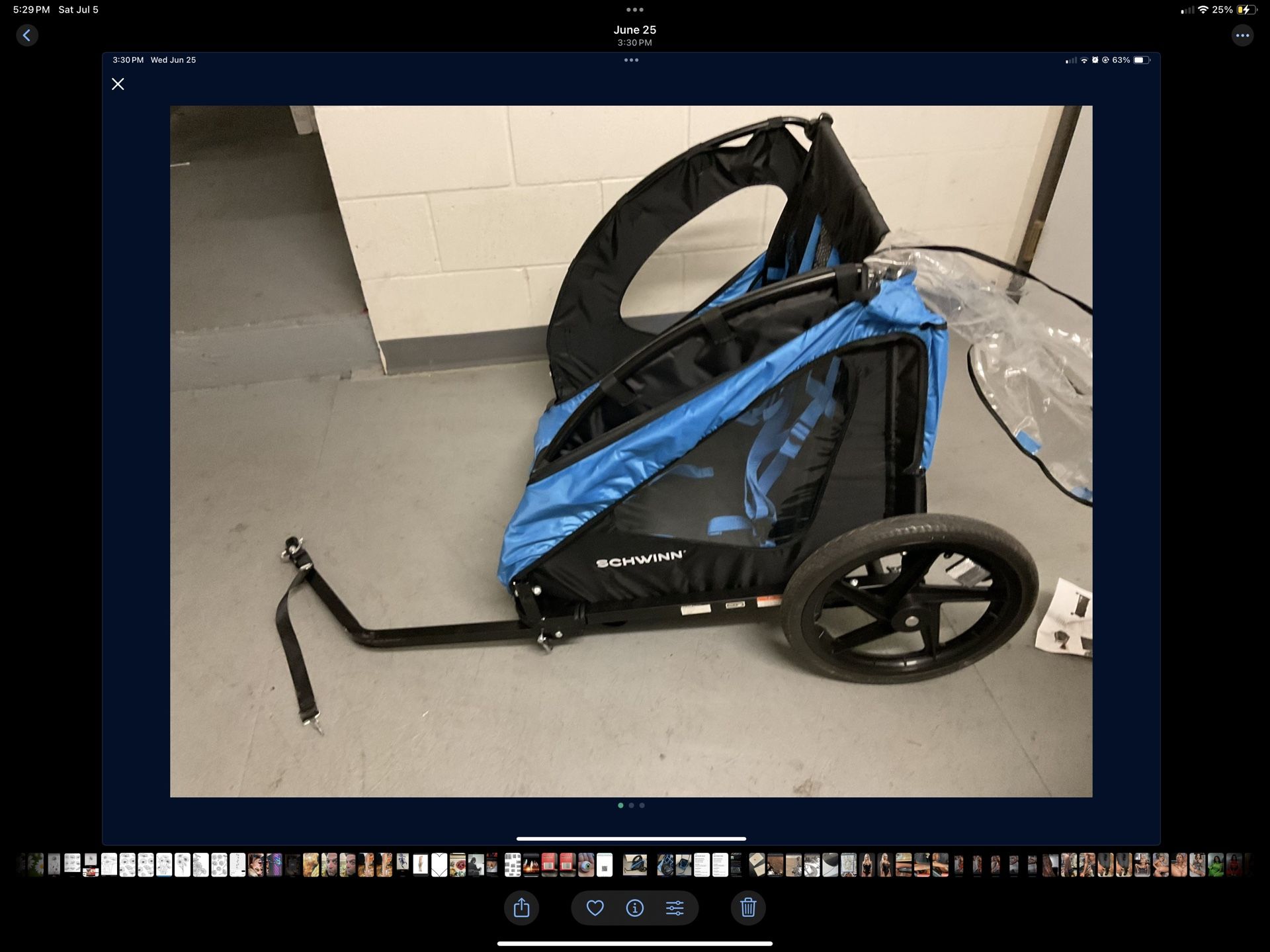 Schwinn Bike Trailer 2 Seats UnPoppable Tires That Do Not Deflate