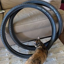 Specialized Fastrack Sport 29x2.35" Mountain Bike Tires