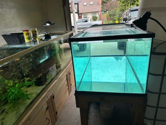 240 gallon aquarium