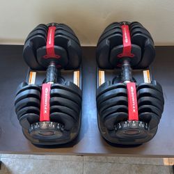 Bowflex Adjustable weights