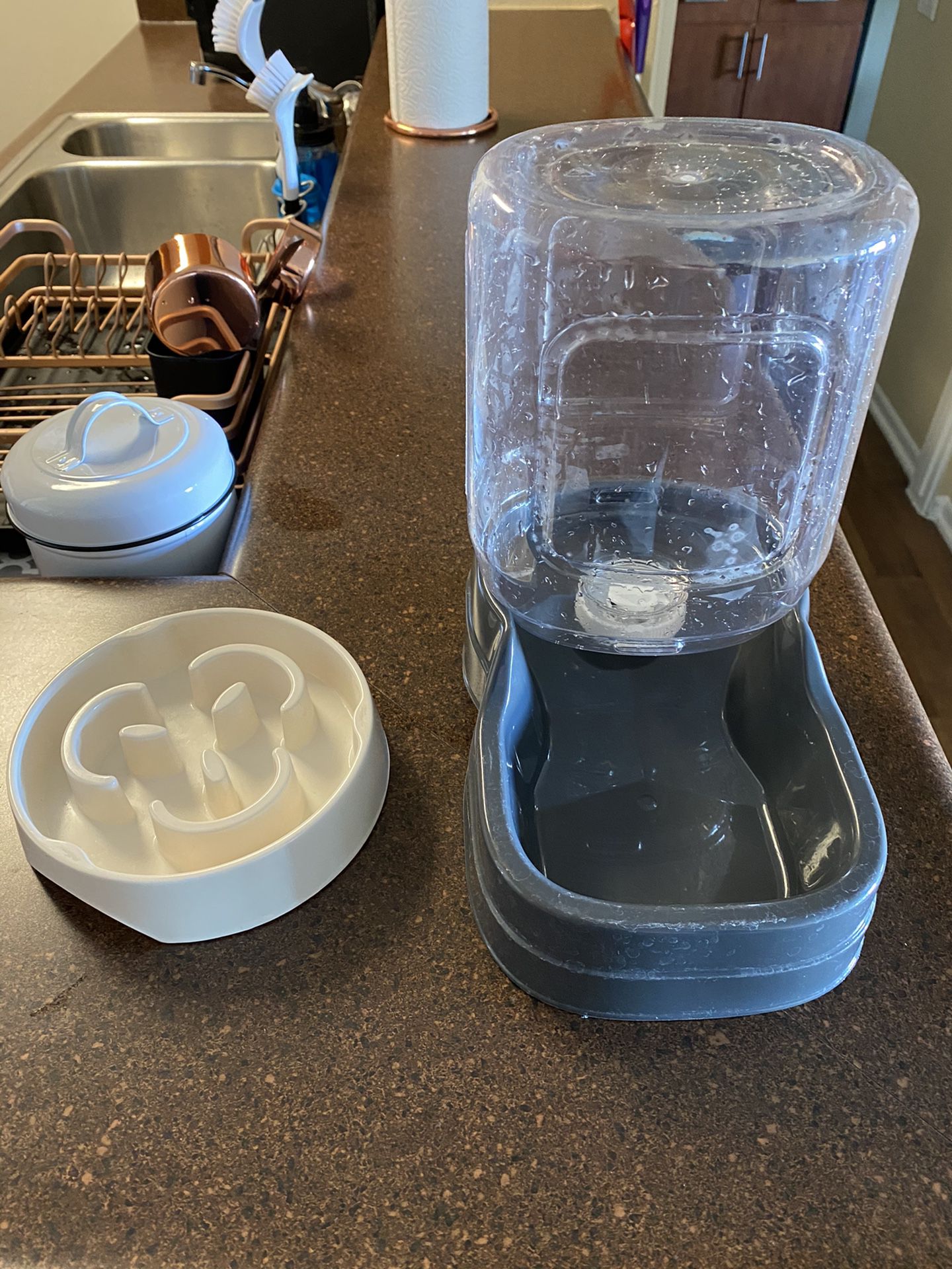 Dog Bowl And Water Feeder